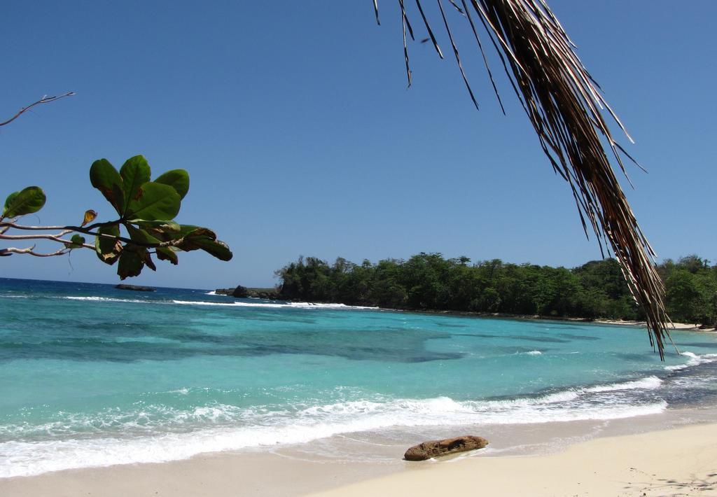 Polish Princess Gasthof Port Antonio